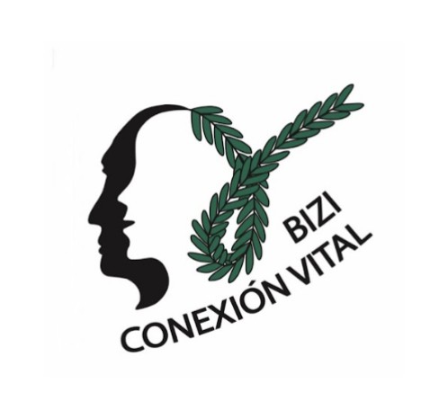 Conexión Vital